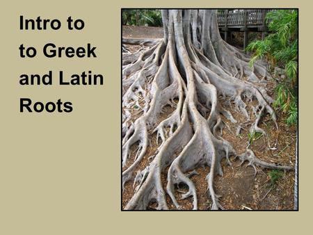 Intro to to Greek and Latin Roots. You already are probably at least a little familiar with ancient Greek and Roman...