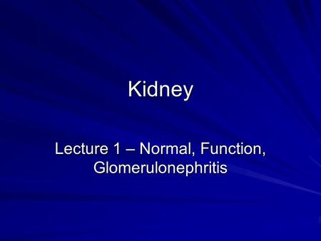 Kidney Lecture 1 – Normal, Function, Glomerulonephritis.