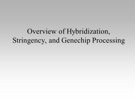 Overview of Hybridization, Stringency, and Genechip Processing.