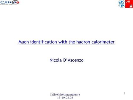 Calice Meeting Argonne 17-19.03.08 1 Muon identification with the hadron calorimeter Nicola D’Ascenzo.