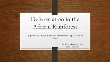 Deforestation in the African Rainforest