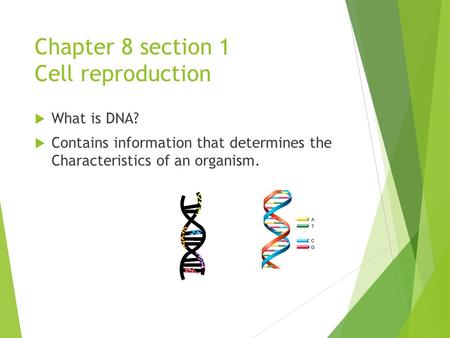 Chapter 8 section 1 Cell reproduction  What is DNA?  Contains information that determines the Characteristics of an organism.
