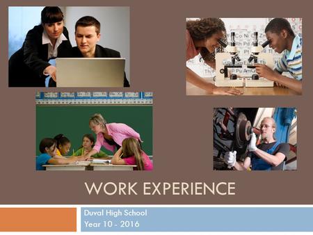 WORK EXPERIENCE Duval High School Year 10 - 2016.