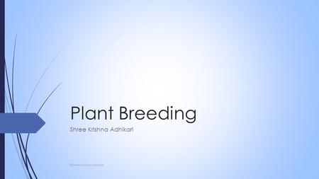 Plant Breeding Shree Krishna Adhikari ©Shree Krishna Adhikari.