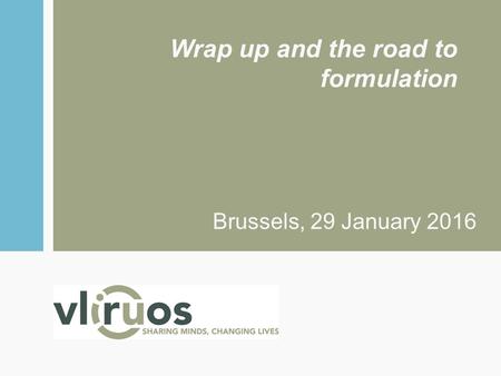 Wrap up and the road to formulation Brussels, 29 January 2016.