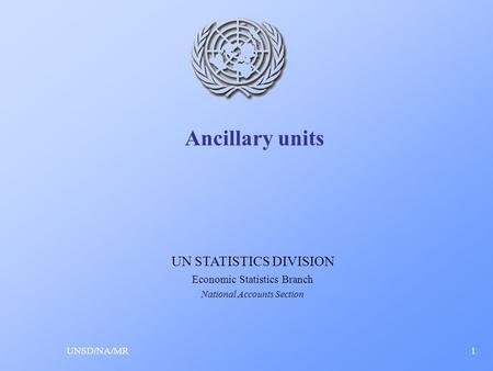 Ancillary units UNSD/NA/MR1 UN STATISTICS DIVISION Economic Statistics Branch National Accounts Section.