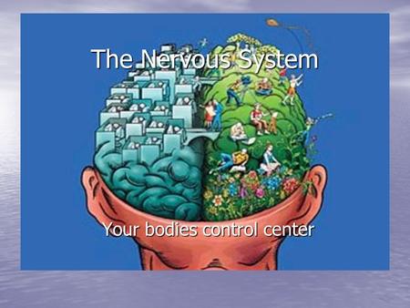 The Nervous System Your bodies control center. Function Allows the brain to communicate (send and receive messages) with all other organs in the body.