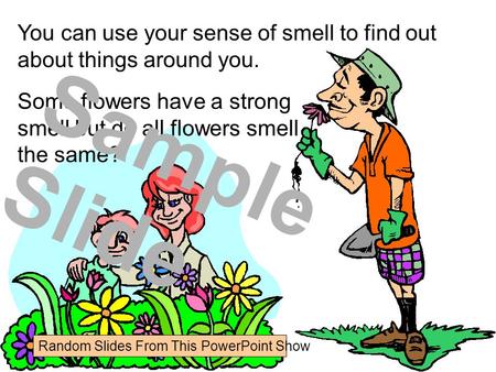 You can use your sense of smell to find out about things around you. Some flowers have a strong smell but do all flowers smell the same? Sample Slide Random.