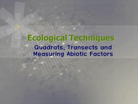Ecological Techniques Quadrats, Transects and Measuring Abiotic Factors.