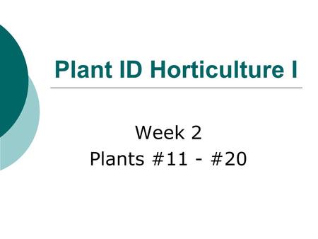 Plant ID Horticulture I Week 2 Plants #11 - #20 Betula nigra  Common name  River Birch  Deciduous tree  Height: 25’-50’  Spread: 25’-35’  Fast.