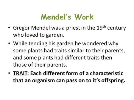 Mendel’s Work Gregor Mendel was a priest in the 19 th century who loved to garden. While tending his garden he wondered why some plants had traits similar.