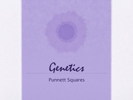 Genetics Punnett Squares. Punnett squares are a way to look at the gene pairs an offspring will inherit from their parents. It shows the probability of.