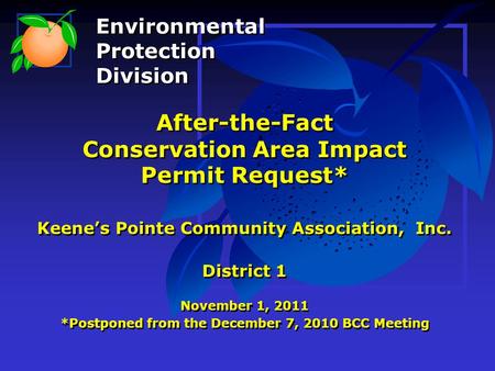 After-the-Fact Conservation Area Impact Permit Request* Keene’s Pointe Community Association, Inc. District 1 November 1, 2011 *Postponed from the December.
