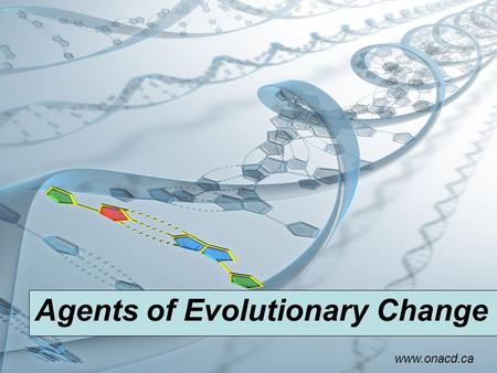 Agents of Evolutionary Change www.onacd.ca. Mutation What is a mutation? Changes to the nucleotide sequence in the genetic material of an organism that.