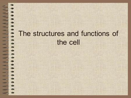 The structures and functions of the cell Cell Theory Term “cell” was coined in 1665 by Robert Hooke He looked at a slice of dried cork.