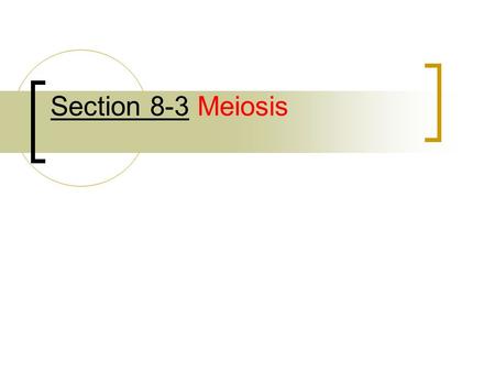 Section 8-3 Meiosis. Obj 9: List and describe the phases of meiosis Meiosis I: Preceded by copying of DNA in interphase.
