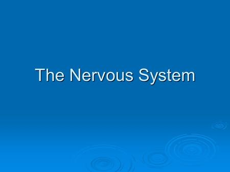 The Nervous System. What is regulation?  The control and coordination of all bodily activities.