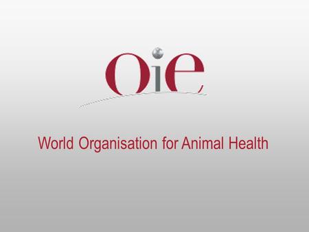 World Organisation for Animal Health. 2 «Global and Regional Perspective » «Global and Regional Perspective » Dr Bernard Vallat Director General International.