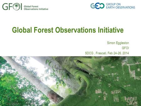 24.02.2016 Global Forest Observations Initiative Simon Eggleston GFOI SDCG, Frascati, Feb 24-26, 2014.