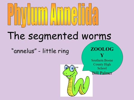 The segmented worms “annelus” - little ring ZOOLOG Y Southern Boone County High School Bill Palmer.