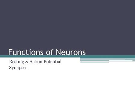 Functions of Neurons Resting & Action Potential Synapses.