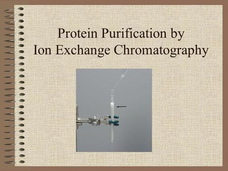 Protein Purification by Ion Exchange Chromatography