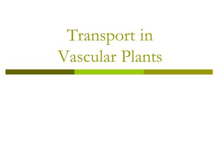 Transport in Vascular Plants. Transport in Plants Overview  movement of materials from one part of a plant to another  involves 2 specialized tissues: