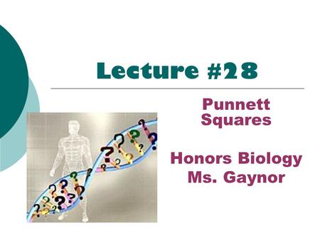 Lecture #28 Punnett Squares Honors Biology Ms. Gaynor.