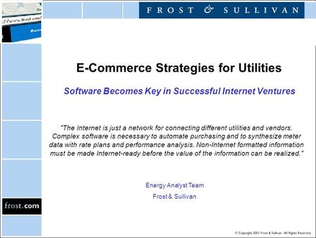 E-Commerce Strategies for Utilities Software Becomes Key in Successful Internet Ventures The Internet is just a network for connecting different utilities.