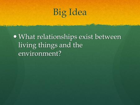 Big Idea What relationships exist between living things and the environment? What relationships exist between living things and the environment?
