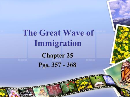 The Great Wave of Immigration