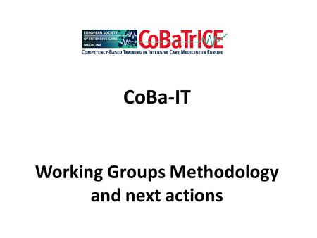 CoBa-IT Working Groups Methodology and next actions.