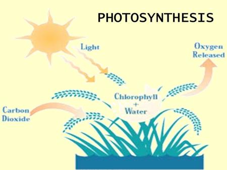 PHOTOSYNTHESIS. Energy Stored in chemical bonds of compounds. Compounds that store energy: ATP, and NADPH. When bonds are broken, energy is released.