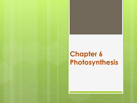 Chapter 6 Photosynthesis. autotroph  An organism that can make its own food  Includes plants, algae, some protists, and some bacteria.