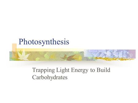 Photosynthesis Trapping Light Energy to Build Carbohydrates.