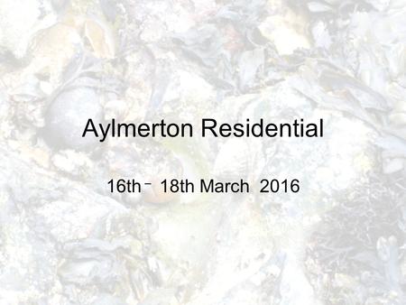 Aylmerton Residential 16th – 18th March 2016. Activities WednesdayCromer – fishing museum, lifeboat museum Twilight Safari ThursdayWest Runton – Rock.