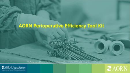 AORN Perioperative Efficiency Tool Kit. Faculty Disclosure Planning Committee Susan K. Bakewell, MS, RN-BC Director, Perioperative Education AORN Nursing.