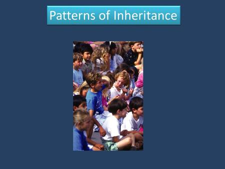Patterns of Inheritance. The Vocabulary of Genetics Heredity: the passing of traits from parents to offspring Self-Pollination: the process by which plant.