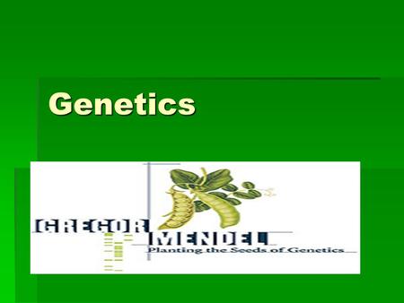 Genetics.  Heredity- passing of traits from parent to offspring  Traits- hair color, eye color, height, etc. (are like your parents)  -characteristics.