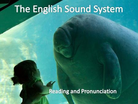 What is the Phonology? Phonetics all of the sounds Phonemics significant sounds Phonics teaching reading sounds.
