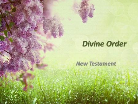 Divine Order New Testament. Man’s Role: headship Gen 3:16 Gen 3:16 – “rule” 1 Cor 11:3 1 Cor 11:3 – “head” Eph 5:23-25 Eph 5:23-25 – “head” Eph 6:4 Eph.
