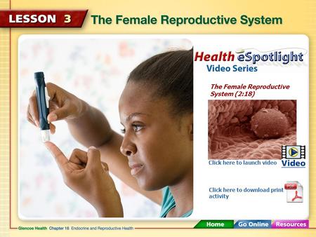 The Female Reproductive System (2:18) Click here to launch video Click here to download print activity.