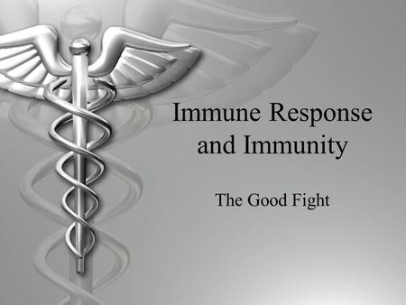 Immune Response and Immunity The Good Fight. Immune Response An immune response is when your body’s B-cells make antibodies against a particular antigen.