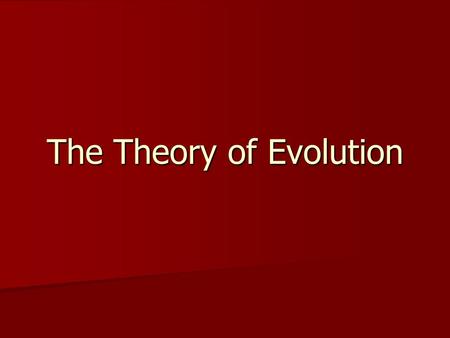 The Theory of Evolution. What is the Theory of Evolution? Theory: well-supported testable explanation of phenomena that have occurred in the natural world.