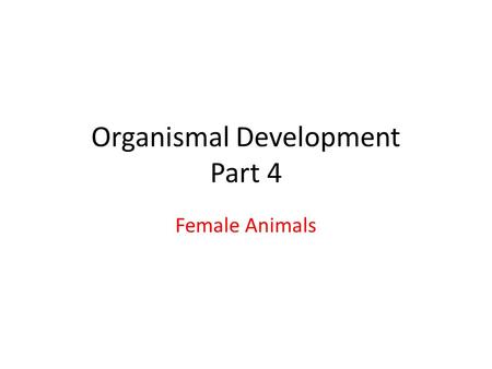 Organismal Development Part 4