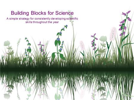 Building Blocks for Science A simple strategy for consistently developing scientific skills throughout the year.