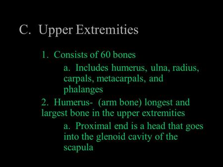 C. Upper Extremities 1. Consists of 60 bones a. Includes humerus, ulna, radius, carpals, metacarpals, and phalanges 2. Humerus- (arm bone) longest and.