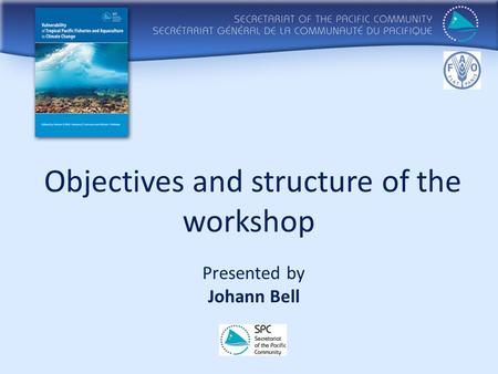 Objectives and structure of the workshop Presented by Johann Bell.