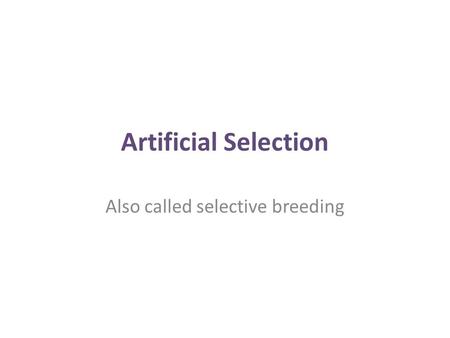 Artificial Selection Also called selective breeding.