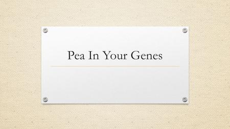Pea In Your Genes. Gregor Mendel Liked to play with pea Noticed that certain Characteristics (inheritable physical features) showed up or disappeared.